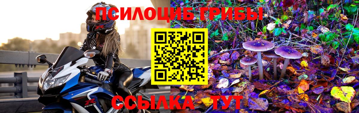 Нальчик  Галлюциногенные грибы MAGIC MUSHROOMS  Вход с VPN 